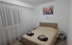 2 Rooms Brancusi Central Park Free Parking Self Check In